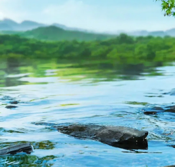 低氘水 - 安徽简泉富硒矿泉水