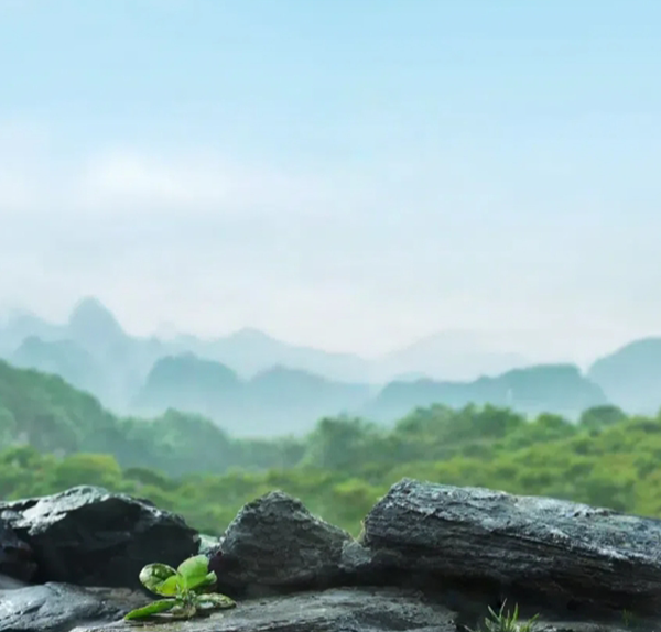 富硒水 - 安徽简泉富硒矿泉水